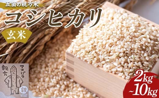 
            【選べる容量】ガンバ農園 五箇の親方米 コシヒカリ玄米 2kg 5kg 10kg F23R-947var
          