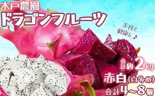 
            木戸農園のドラゴンフルーツ 計約2kg（赤白 合計4~8個 白多め） 先行予約 果物 フルーツ ＜113-010_5＞
          