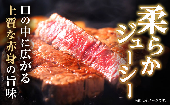 極上 ヒレ ステーキ 300g（150g×2枚） / 牛肉 牛 肉 和牛 ヒレステーキ 長崎和牛 A4～A5ランク 希少部位 / 諫早市 / 野中精肉店 [AHCW004]