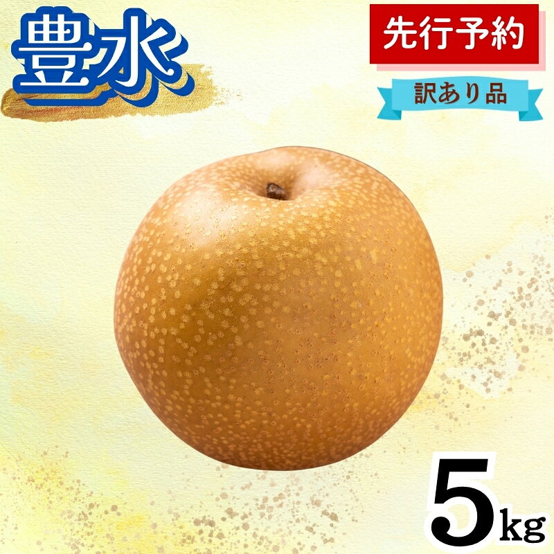 【ふるさと納税】秋泉 5kg 訳あり(12～14個入) 秋田県 能代市 梨 なし ナシ 果物 フルーツ 厳選 訳あり 甘い 果実 果汁　お届け：2026年9月20日～2026年10月10日まで