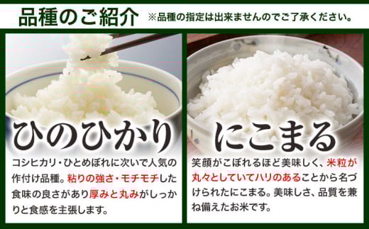 【令和8年4月発送】米 令和7年産 20kg ふるさと米 備中笠岡 人気品種をお届け！ 国産 ヒノヒカリ にこまる きぬむすめ お米 ブランド米 ふっくら ハリ おにぎり 弁当 単一原料米 検査済み 