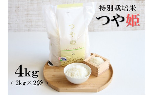 【令和6年産・精米】竹原田ファームのつや姫4kg（2kg×2）