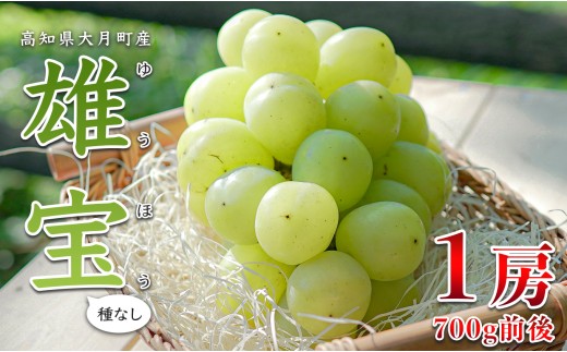 【2026年8･9月発送】大粒 ぶどう 種なし 雄宝 1房 (700g)  高級 ブドウ 葡萄 グレープ 数量限定 期間限定 先行予約 冷蔵 果物 くだもの フルーツ ギフト 贈答 甘い おすすめ 人気 新鮮 こだわり 松田ぶどう園 高知 大月町