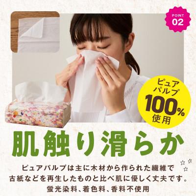 ふるさと納税 泉佐野市 ソフトパックティッシュ 60パック×400枚 010B1754 |  | 02