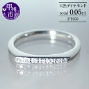 【ふるさと納税】 リング 指輪 ジュエリー レディース プラチナ 天然 ダイヤモンド 0.05ct pt950 SIクラス 天然石 0.05カラット プラチナ950 シンプル ミニマル 平打ち ブライダル 4月誕生石 記念日 ギフト 品質保証書付 "L_titia レティシア" r-131 (KRP) 【G58-1410】