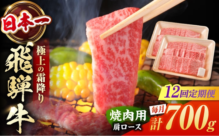 
            【12回定期便】 飛騨牛 焼肉用 肩ロース 700g（350g×2）/  国産 牛肉 和牛 定期便 霜降り / 白川町 / 浅井商店 [AWBJ017]
          