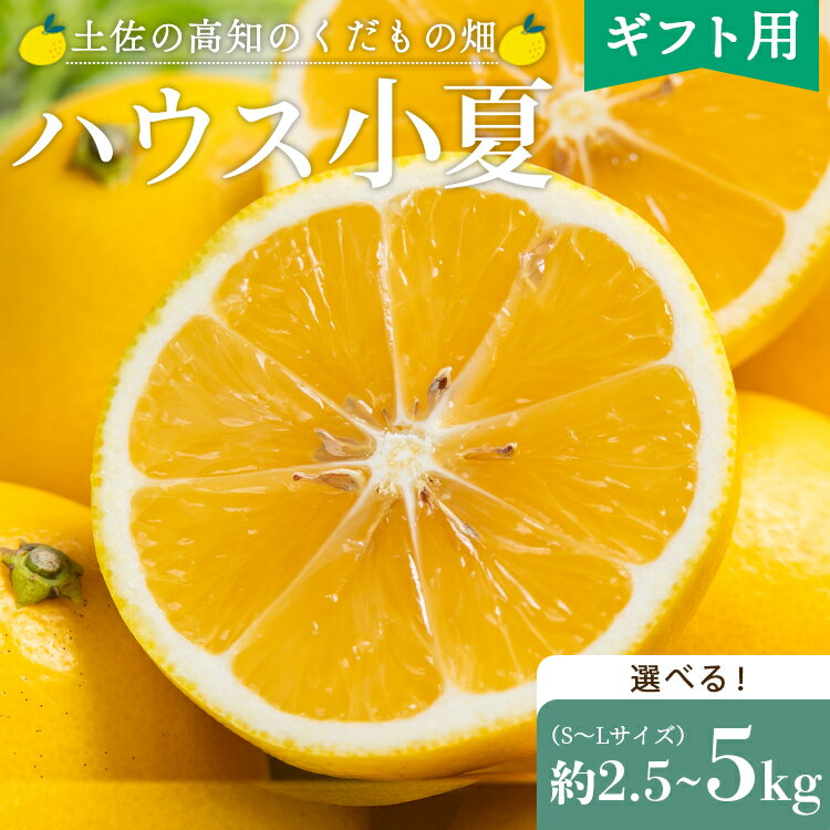 【ふるさと納税】【2026年出荷分 先行予約】【選べる】ハウス小夏（日向夏）約2.5kg/約5kg（ギフト用）- ニューサマーオレンジ 柑橘 果物 フルーツ こなつ 贈答用 甘い 国産 送料無料 土佐の高知のくだもの畑 高知県 香南市 レビューキャンペーン ゆずあんぱん風おまんじゅう