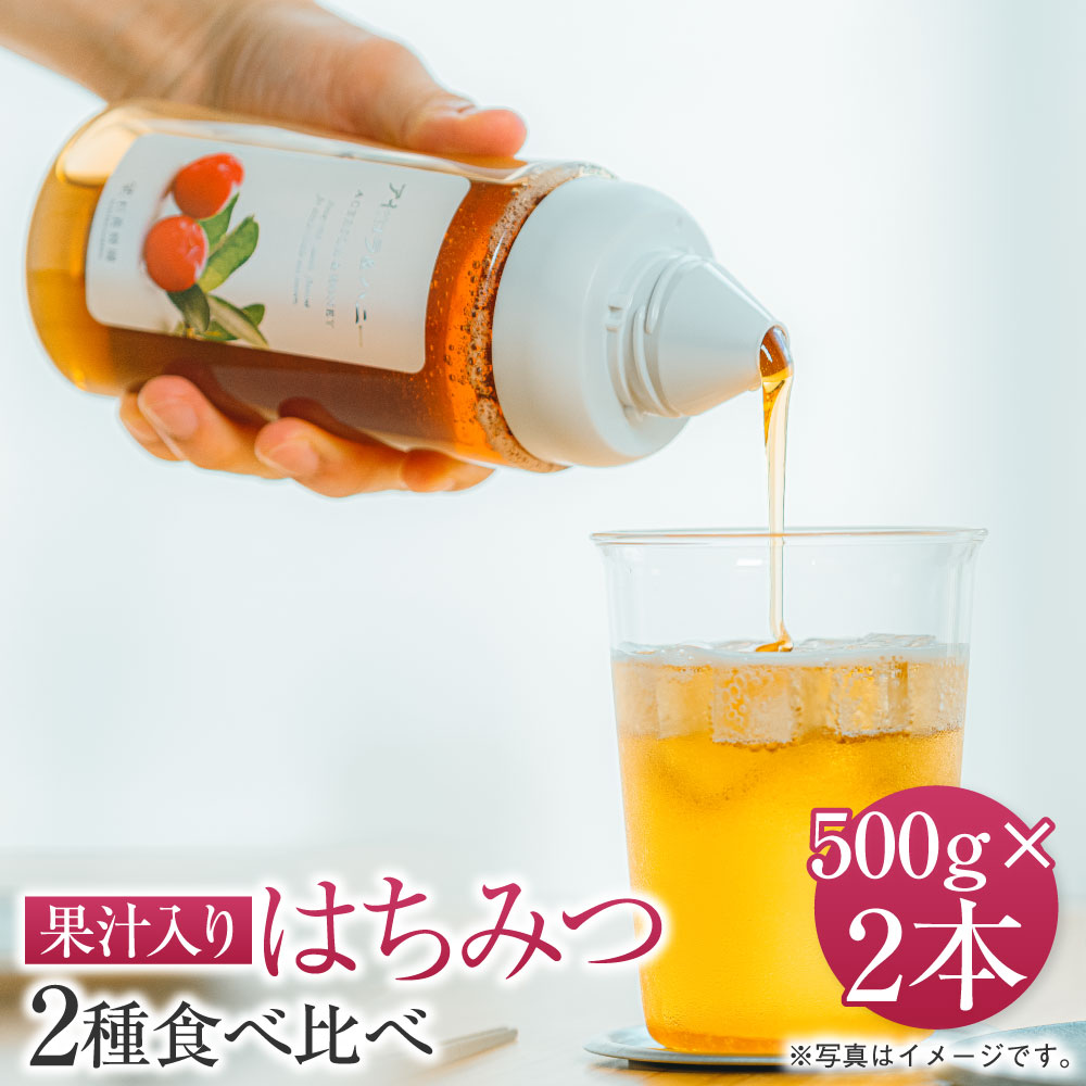 【ふるさと納税】 果汁入りはちみつ 500g 2種食べ比べ 合計1,000g 合計2本 ゆず蜜（500g×1本） 1種お選び（500g×1本） ゆず蜜 ブルーベリー 巨峰 アセロラ マンゴー ハニーレモン メープルハニー シャインマスカット ストロベリー ハスカップ 抹茶 杉養蜂園 送料無料