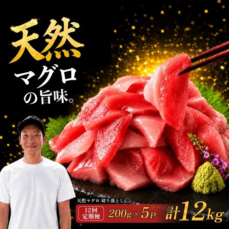【12回定期便】天然マグロ切り落とし 200g×5P マグロ