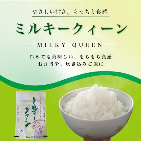 先行予約【11月より順次出荷】令和8年産 新潟県 上越市産 ミルキークイーン  5kg 白米 精米 送料無料 塩崎農場