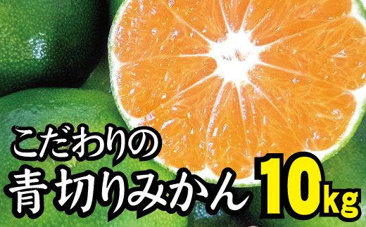 
            【2025年秋頃発送予約分】こだわりの青切りみかん　約10kg 有機質肥料100%　 サイズ混合　※2025年9月下旬より順次発送予定（お届け日指定不可）/  みかん 和歌山県 柑橘 ミカン 甘い 蜜柑 フルーツ 果物 くだもの 食品 送料無料 産地直送 【nuk108E】 
          