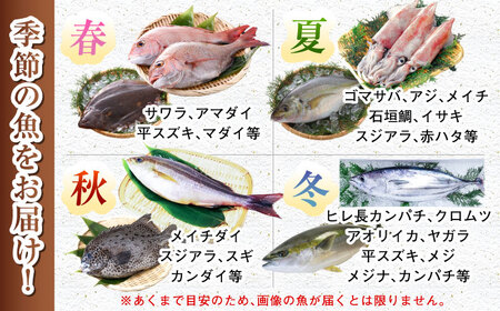 【五島列島・直送】朝獲れ！高級鮮魚セット2kg / 冷蔵 おまかせ おたのしみ 刺身 五島市 / 鯛福丸水産 [PDP002]