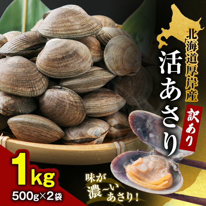 【ふるさと納税】北海道 厚岸産 訳あり 活あさり 500g×2 (合計1kg) アサリ 魚貝 海鮮 大粒 美味しい 栄養 旨み 砂出し 水洗い 冷蔵 冷凍保存可能 便利 　お届け：2025年9月～12月28日まで、2026年3月～7月15日まで　※12月10日までの入金確定分が年内配送です。