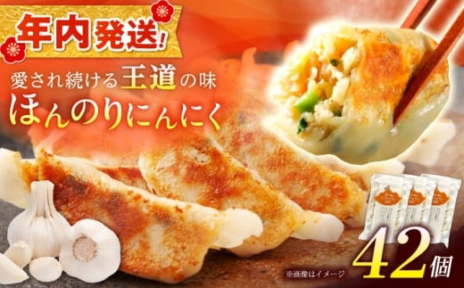 【年内発送】【3パック】餃子屋ヒロの ほんのりにんにく餃子【餃子屋ヒロ】ヤキギョウザ 餃子 ギョーザ 餃子 ギョーザ 点心 中華 餃子 ギョーザ 餃子 やきぎょうざ ギョーザ 点心 中華 点心 中華料理 ぎょうざ ぎょーざ ギョウザ こだわり餃子 やきぎょうざ 神奈川県産 冷凍ぎょうざ 簡単調理 冷凍ギョウザ 冷凍ぎょうざ 開成町 [BDAS005-2]
