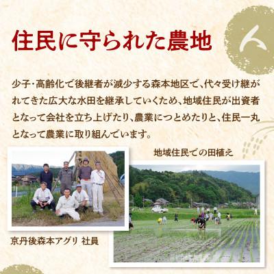 ふるさと納税 京丹後市 令和8年産 特別栽培米コシヒカリ 丹後椿(京丹後森本産) 5kg |  | 01