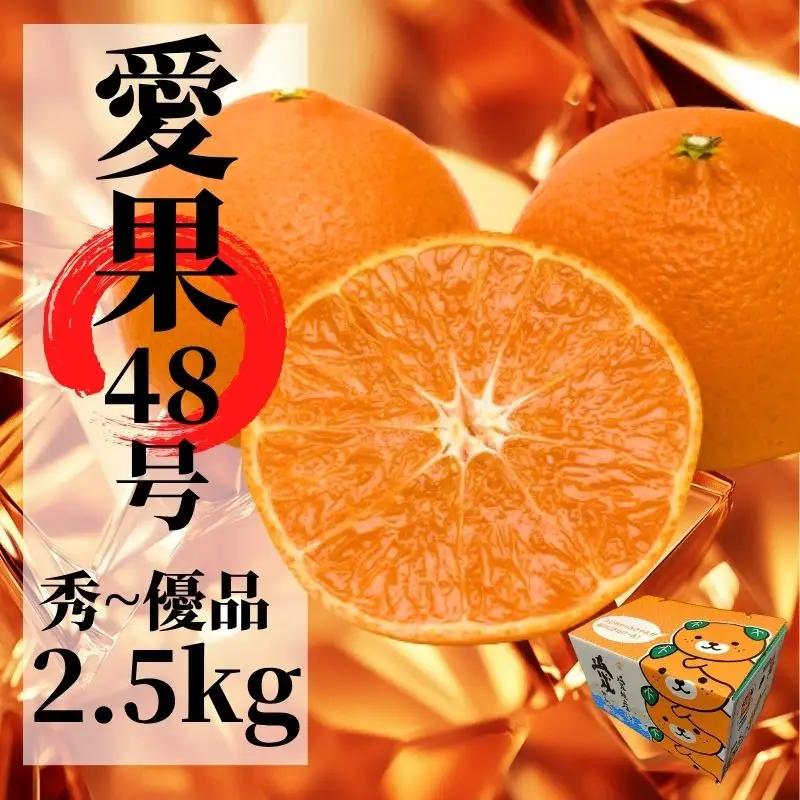 【2027年2月下旬頃から順次発送】愛果48号 秀～優品 約2.5kg  | 愛媛 愛媛県産みかん 蜜柑 ミカン mikan みかん あいか  柑橘 お取り寄せ グルメ 期間限定 数量限定 果物 旬 愛媛県 松山市 【PT051】