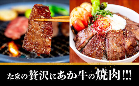 長崎和牛 あか牛 焼肉用 500g《対馬市》【高田牧場】 対馬 牛 和牛 焼肉 冷凍配送[WCR005]