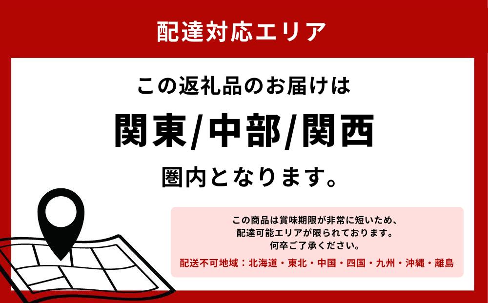 【夏限定】 氷見産 天然岩ガキ 3個 〈冷蔵〉