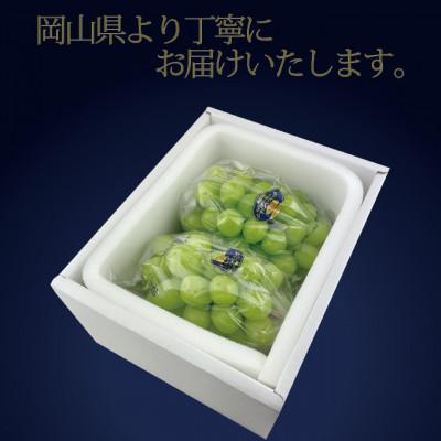 ふるさと納税 浅口市 【発送月固定定期便】HS/2026年先行予約9月/10月2回発送最高級品晴王2房約1.4kg全2回 |  | 03