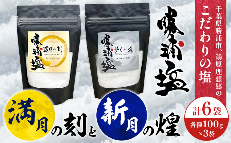 千葉県 勝浦市 満月の刻 100g と 新月の煌 100g 各3袋 セット 【配送不可地域あり】 《30日以内に出荷予定(土日祝除く)》 塩 勝浦塩 調味料