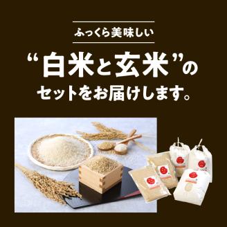 宮崎ヒノヒカリ 延岡産 白米と白い玄米セット 合計16.6kg N0149-ZB807