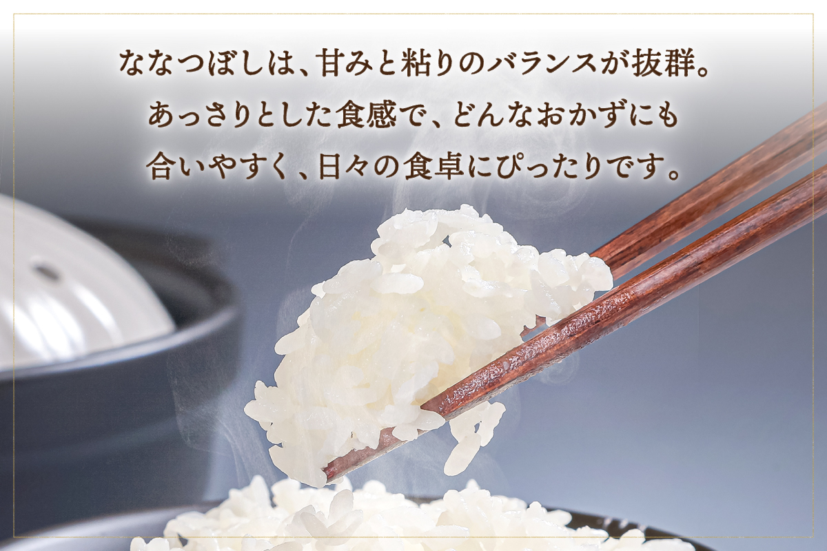 令和7年産 金王冠 精米 雨竜町ななつぼし 10kg(5kg×2) 北海道 おにぎり お弁当 特A おいしい R7U013-002