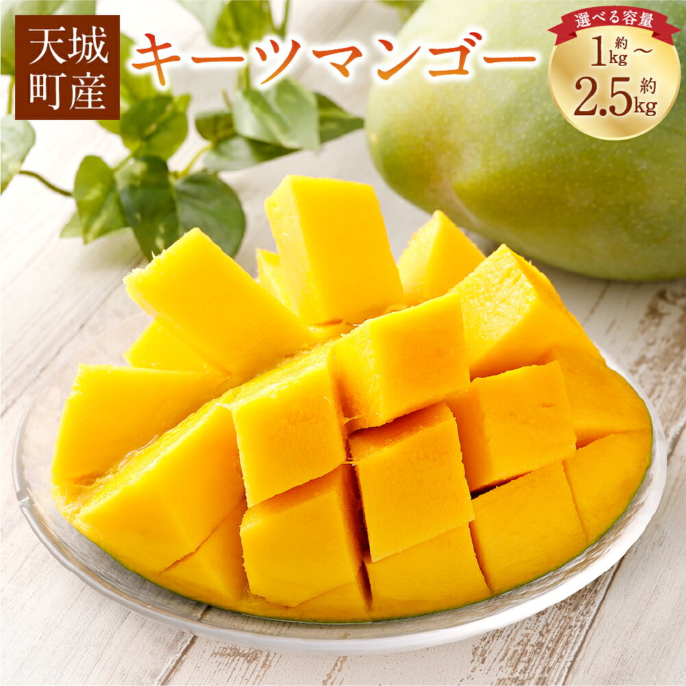 【ふるさと納税】〈選べる容量〉徳之島 天城町産 キーツマンゴー 1kg～1.5kg ／ 2kg～2.5kg （ 2玉 ～ 3玉 ） マンゴー フルーツ 果物 くだもの トロピカルフルーツ フルーツ 国産 天城町 鹿児島県