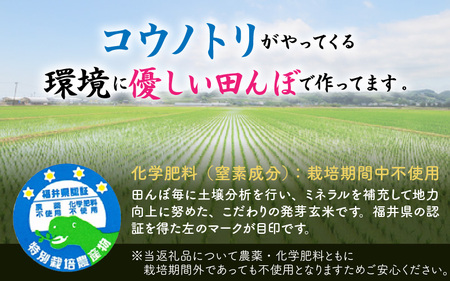 【令和5年産】【発芽玄米】無農薬 福井県産 コシヒカリ特選 真空パック 3kg  ～玄米以上の栄養価と白米に近い柔らかさ～ [A-2922]