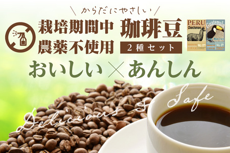 【自家焙煎コーヒー豆 飲み比べ】グアテマラ／ペルー 自家焙煎 コーヒー豆 （500g×2種） 約100杯分 焙煎専門珈琲「八月の犬」 品種：ペルー産・コーヒー豆「チャンチャマイヨ」250g×2 グアテ