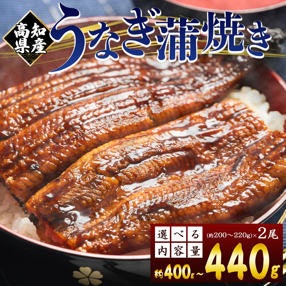【ふるさと納税】高知県産 養殖うなぎ蒲焼き 2尾（選べる：合計約400g/合計約440g）- 国産 鰻 ウナギ 養殖 かばやき タレ付き たれ おつまみ スタミナ 土用の丑の日 うな丼 うな重 丼ぶり 一品 おかず 香南市 レビューキャンペーン実施中 ゆずあんぱん風おまんじゅうをお届け