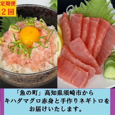 ふるさと納税 須崎市 【毎月定期便】『魚の町』高知県須崎市からキハダ鮪1kgとネギトロ1kgをお届けします全2回