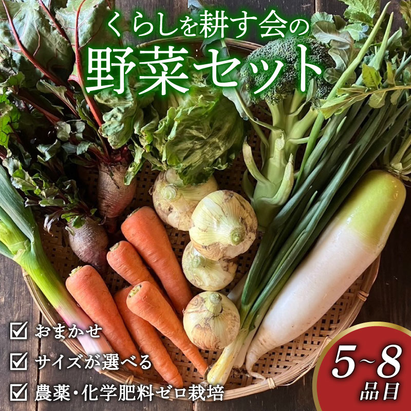 【ふるさと納税】丸山農園の野菜セット おまかせ 6～8品目 選べる 容量 1～6人用 無農薬 くらしを耕す会 野菜 やさい サラダ 健康 人参 玉ねぎ 大根 野菜 やさい サラダ 健康 人参 玉ねぎ 大根 ふるさと納税野菜 ふるさと納税サラダ 愛知県 南知多町