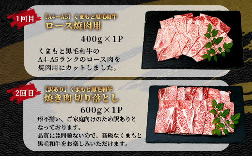 【定期便6回】くまもと黒毛和牛 味わい定期便～合計 3kg 《 黒毛 和牛 ロース 焼き肉 すき焼き 切り落とし 赤身 スライス 和王 》 肉 すき焼き 焼肉 霜降り 上質 ブランド牛 国産 牛肉 冷
