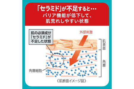 花王 キュレル 潤浸保湿 乳液　2個セット【 化粧品 コスメ 神奈川県 小田原市 】