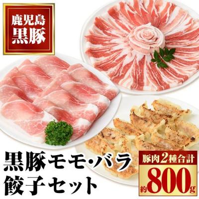 ふるさと納税 肝付町 特選黒豚モモ・黒豚バラ・黒豚餃子セット 　A02045