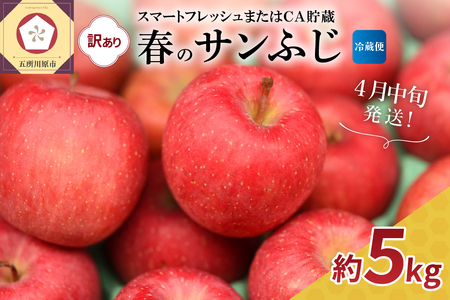 【2026年4月中旬発送】【訳あり】サンふじ りんご 約5kg【スマートフレッシュ貯蔵またはCA貯蔵・クール便】