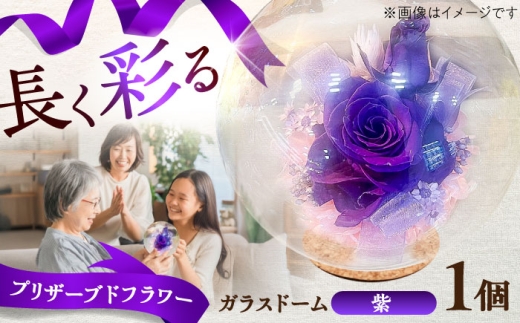 プリザーブドフラワー　ガラスドーム (紫) / 紫 プリザーブドフラワー ギフト 花 フラワー 植物 お花 贈り物 ガラスドーム【株式会社 美向】 [BHDC005]
