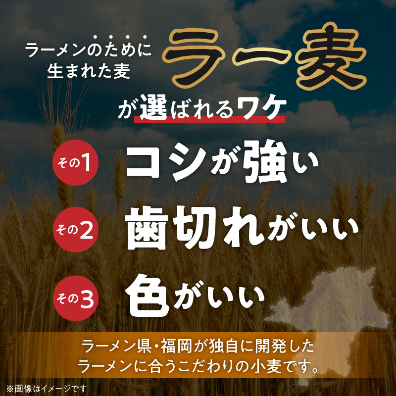 ラー麦麺の冷やし中華15食_ラー麦麺 冷やし中華 15食  麺 さっぱり レモン風味 コシ 強い 歯切れ 色 細麺 茹で時間 1分ほど 野菜 卵焼き トッピング 麺類 夏 食品 お取り寄せ 福岡県 久