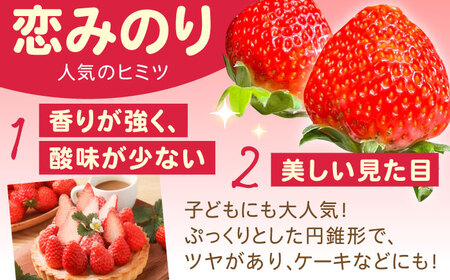 いちご【2027年1月?発送】 260g×4P 恋みのりいちご [SFF001]