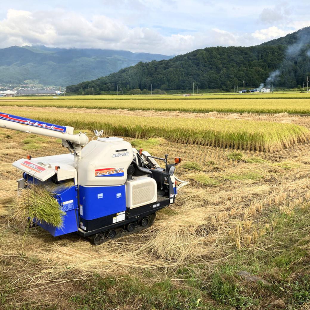 【令和6年産】サイクルファーム　たかちゃんのお米(玄米)こしひかり 5kg（6-88A）