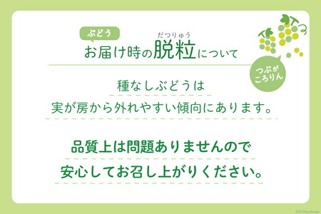 【期間限定発送】山梨県産 シャインマスカット 約1.8kg（2～4房） [株式会社斎庵 山梨県 韮崎市 20743092] シャインマスカット フルーツ 果物 くだもの マスカット シャイン ぶどう 