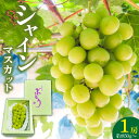 先行予約！【ふるさと納税】 シャインマスカット 1房 約850g 酸味 甘み 美味しい 皮 薄い 食べやすい 冷蔵 フルーツ 果物 ぶどう シャイン マスカット 国産 おやつ デザート お取り寄せ お取り寄せグルメ 福岡県 久留米市 送料無料