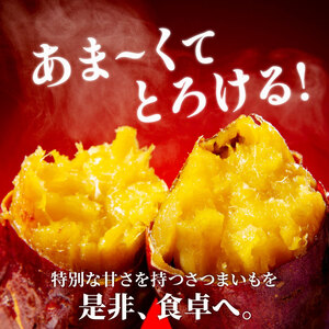 紅はるか 3kg  さつまいも  紅はるか 芋 国産  静岡県産 牧之原市 家庭用 秋の味覚 おやつ 高糖度 しっとり 濃厚 甘い  焼き芋 スイートポテト 干し芋