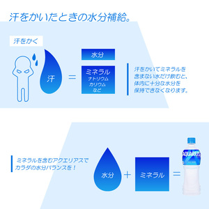 【定期便】アクエリアス 500mlPET（24本入）×3か月 コカ･コーラ  スポーツドリンク 水分補給 BB-0038