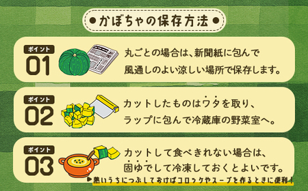 【2024年8月下旬から出荷】 北海道 豊浦産 かぼちゃ 味平 10kg 5～7玉入り