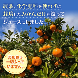 果汁100％ みかん ジュース 180ml × 30本 無農薬 無添加 濃厚 みかん ジュース 炭酸 清涼飲料水 炭酸ジュース ジュース