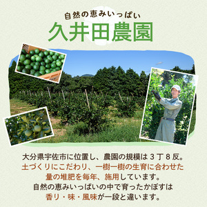 ＜先行予約受付中！2026年8月上旬以降順次発送予定＞かぼす(15kg)柑橘 かんきつ 大分県産直 期間限定【112600300】【ａｎｄＫ】