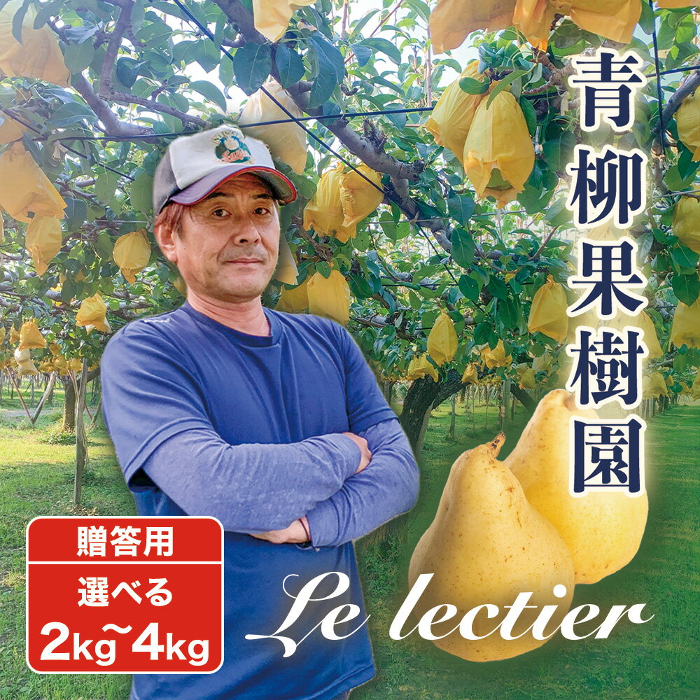 【ふるさと納税】【2025年先行予約】新潟特産 幻の洋梨ル・レクチェ 贈答用 「2kg」or「3kg」or「4kg」〈11月下旬～順次出荷〉 ルレクチェ ル・レクチエ ルレクチエ 果物 フルーツギフト 冬の味覚 産地直送加茂市 青柳果樹園