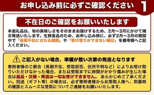 【先行予約・2月～3月にお届け】 季節の野菜 詰め合わせセット (野菜6～8品目) 夢叶野菜ボックス | 新鮮 産地直送 旬 国産 葉物 根菜 おすすめ 人気 野菜詰め合わせ 野菜セット 春野菜 夏野