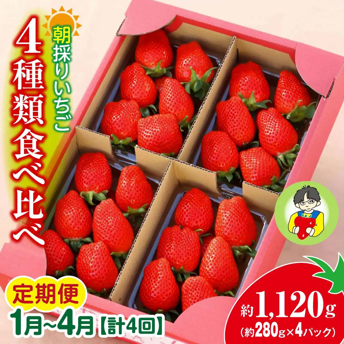 いちご 定期便4ヶ月 いちご 4種類食べ比べ 約280g×4パック